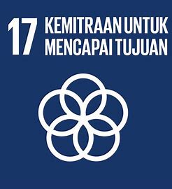 sdg 17