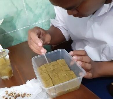 Mahasiswa Departemen PLB FIP UM Gelar Kegiatan Hidroponik di Sekolah Luar Biasa BC Kepanjen